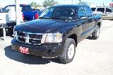 2008 Dodge Dakota SLT